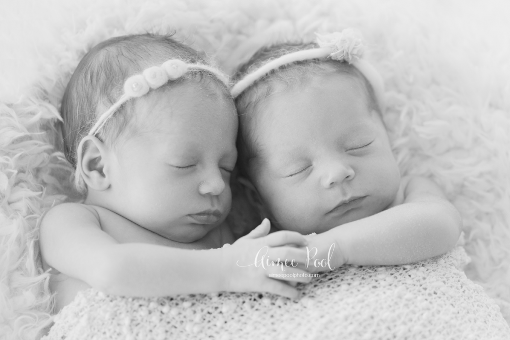 Newborn Twins | Bay Area Newborn Photographer